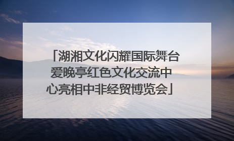 湖湘文化闪耀国际舞台 爱晚亭红色文化交流中心亮相中非经贸博览会