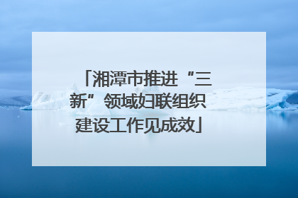 湘潭市推进“三新”领域妇联组织建设工作见成效