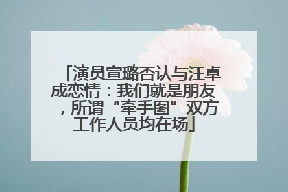 演员宣璐否认与汪卓成恋情：我们就是朋友，所谓“牵手图”双方工作人员均在场