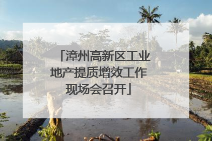 漳州高新区工业地产提质增效工作现场会召开