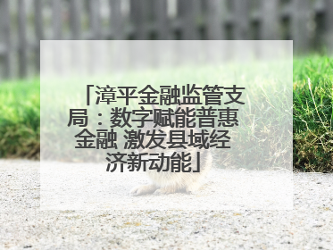 漳平金融监管支局：数字赋能普惠金融 激发县域经济新动能
