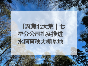 聚焦北大荒｜七星分公司扎实推进水稻育秧大棚基地清理整治工作