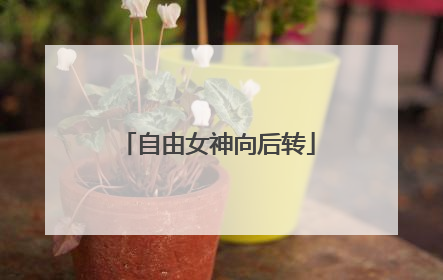 自由女神向后转