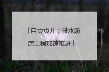 自贡贡井：排水防涝工程加速推进