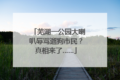 芜湖一公园大喇叭辱骂遛狗市民？真相来了……
