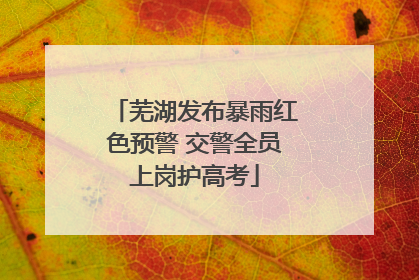 芜湖发布暴雨红色预警 交警全员上岗护高考
