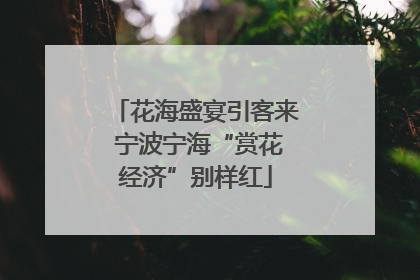 花海盛宴引客来 宁波宁海“赏花经济”别样红