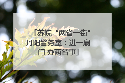 苏皖“两省一街”丹阳警务室：进一扇门 办两省事