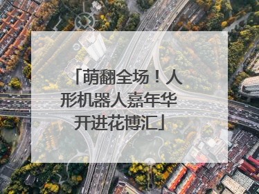 萌翻全场！人形机器人嘉年华开进花博汇