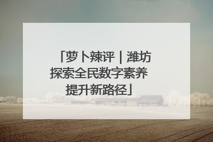萝卜辣评｜潍坊探索全民数字素养提升新路径