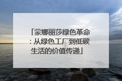 蒙娜丽莎绿色革命：从绿色工厂到低碳生活的价值传递