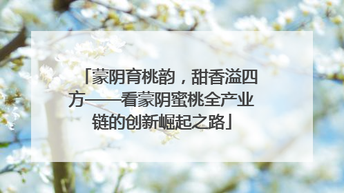 蒙阴育桃韵，甜香溢四方——看蒙阴蜜桃全产业链的创新崛起之路