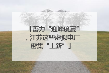 蓄力“迎峰度夏”，江苏这些虚拟电厂密集“上新”