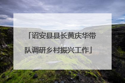 诏安县县长黄庆华带队调研乡村振兴工作