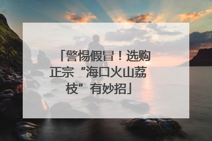警惕假冒！选购正宗“海口火山荔枝”有妙招
