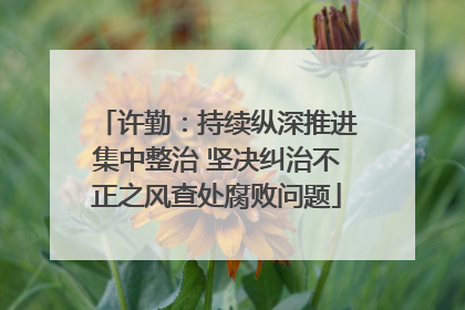 许勤：持续纵深推进集中整治 坚决纠治不正之风查处腐败问题