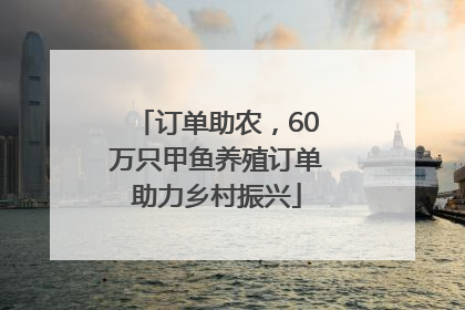 订单助农，60万只甲鱼养殖订单助力乡村振兴