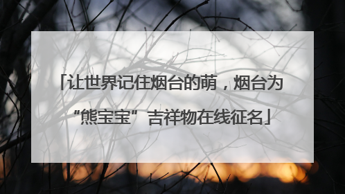 让世界记住烟台的萌，烟台为“熊宝宝”吉祥物在线征名