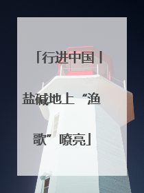 行进中国丨盐碱地上“渔歌”嘹亮