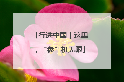 行进中国｜这里，“参”机无限