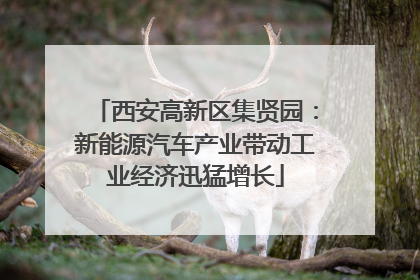 西安高新区集贤园：新能源汽车产业带动工业经济迅猛增长