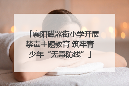 襄阳磁器街小学开展禁毒主题教育 筑牢青少年“无毒防线”