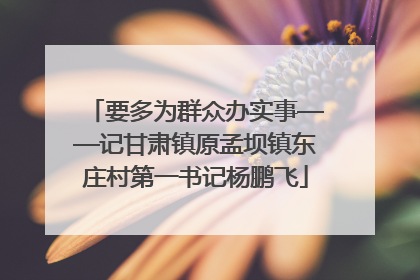 要多为群众办实事——记甘肃镇原孟坝镇东庄村第一书记杨鹏飞