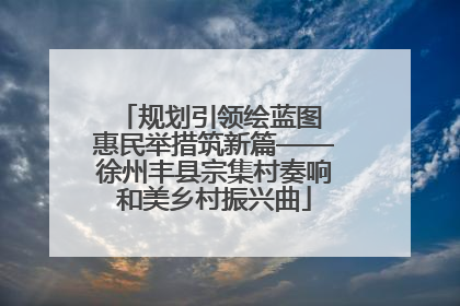 规划引领绘蓝图 惠民举措筑新篇——徐州丰县宗集村奏响和美乡村振兴曲