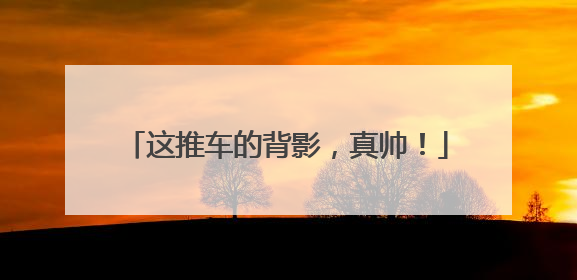 这推车的背影，真帅！