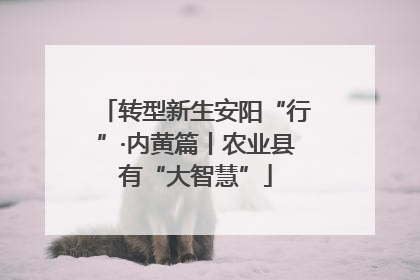 转型新生安阳“行”·内黄篇丨农业县有“大智慧”