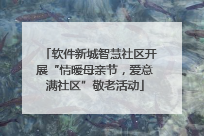 软件新城智慧社区开展“情暖母亲节，爱意满社区”敬老活动