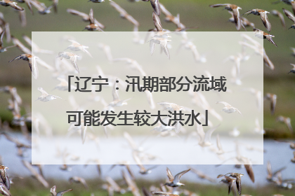 辽宁：汛期部分流域可能发生较大洪水