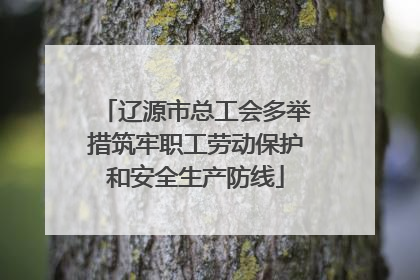 辽源市总工会多举措筑牢职工劳动保护和安全生产防线