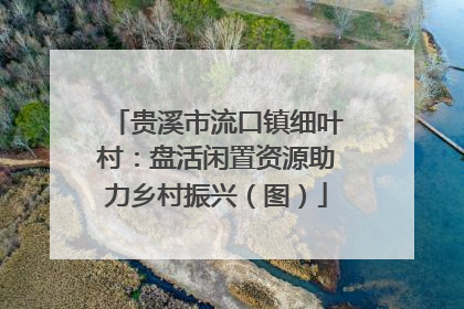 贵溪市流口镇细叶村：盘活闲置资源助力乡村振兴（图）