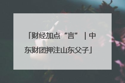 财经加点“言”｜中东财团押注山东父子