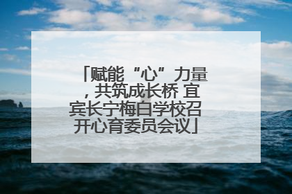 赋能“心”力量，共筑成长桥 宜宾长宁梅白学校召开心育委员会议