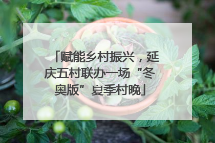 赋能乡村振兴，延庆五村联办一场“冬奥版”夏季村晚