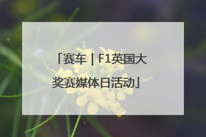 赛车｜F1英国大奖赛媒体日活动