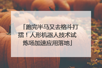 跑完半马又去格斗打擂！人形机器人技术试炼场加速应用落地