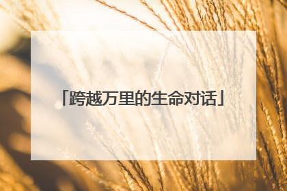 跨越万里的生命对话