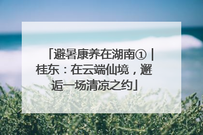 避暑康养在湖南①｜桂东：在云端仙境，邂逅一场清凉之约