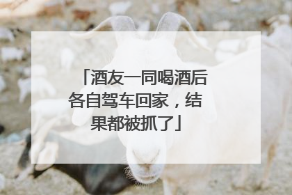 酒友一同喝酒后各自驾车回家，结果都被抓了