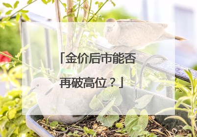 金价后市能否再破高位？