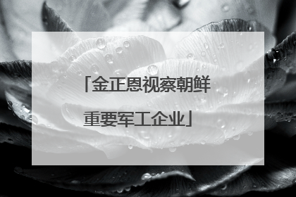 金正恩视察朝鲜重要军工企业