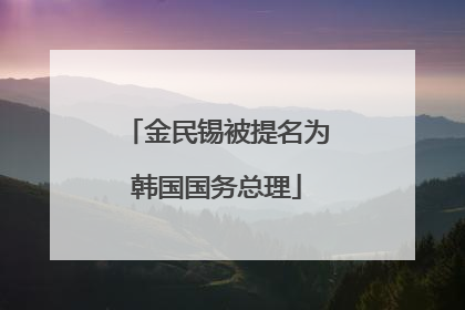 金民锡被提名为韩国国务总理