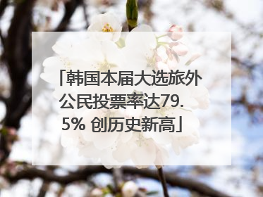 韩国本届大选旅外公民投票率达79.5% 创历史新高