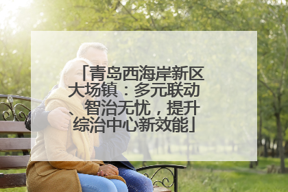 青岛西海岸新区大场镇：多元联动、智治无忧，提升综治中心新效能