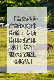 青岛西海岸新区隐珠街道：专项摸排河道排水口 筑牢碧水清流生态防线