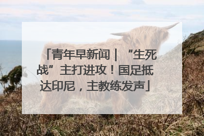 青年早新闻｜“生死战”主打进攻！国足抵达印尼，主教练发声