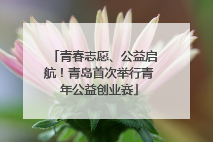 青春志愿、公益启航！青岛首次举行青年公益创业赛